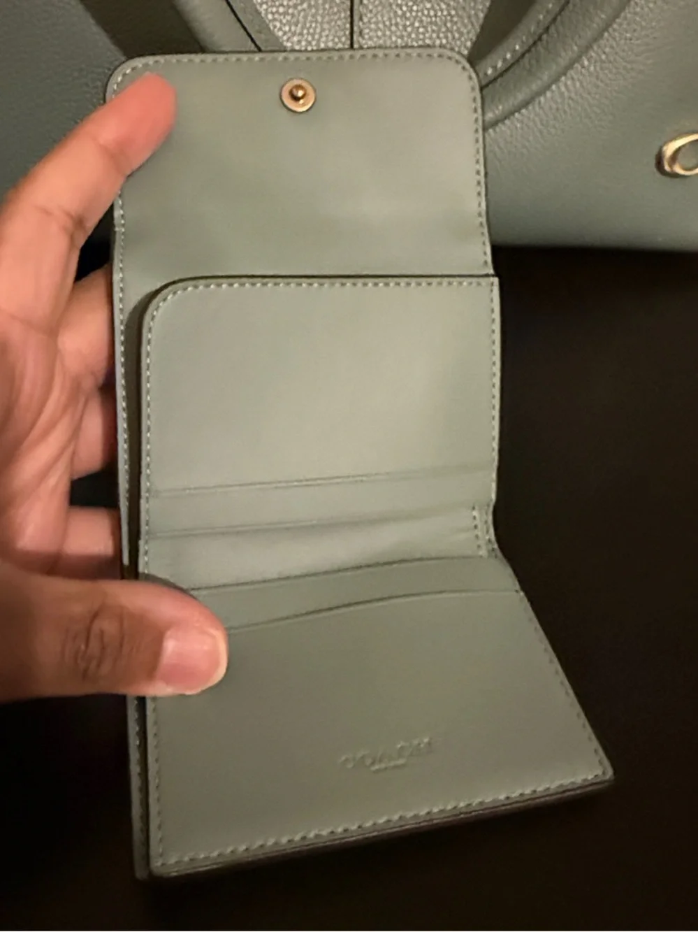 Coach Large Lana Bag in Sage